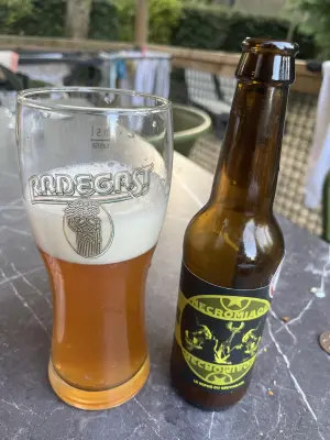 Borresteijn's photo of Necromiaou