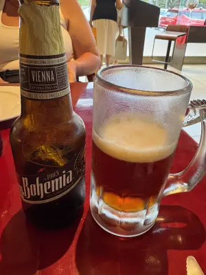 saxo's photo of Bohemia - Vienna