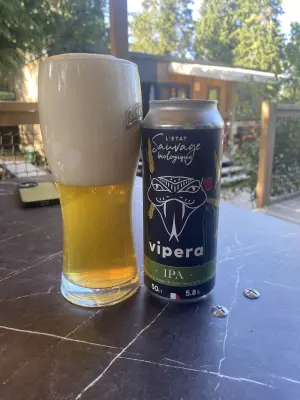 Borresteijn's photo of Vipera