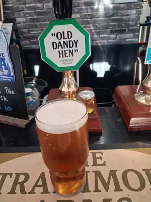 DavrosIX's photo of Old Dandy Hen