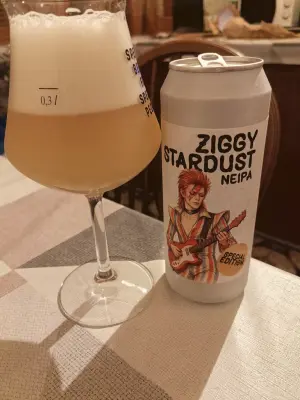 ogivlado's photo of Ziggy Stardust