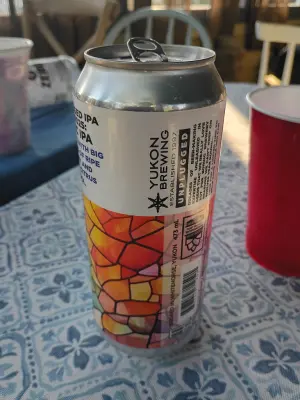 solidfunk's photo of Unplugged IPA #025 - Mosaic IPA