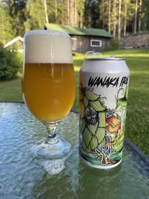 IpaPils's photo of Wanaka