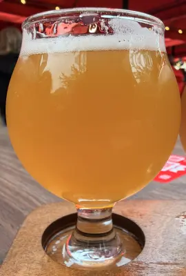 Kita's photo of Double Limonade IPA