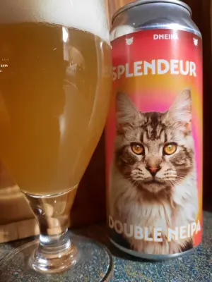 Metalchopz's photo of Splendeur