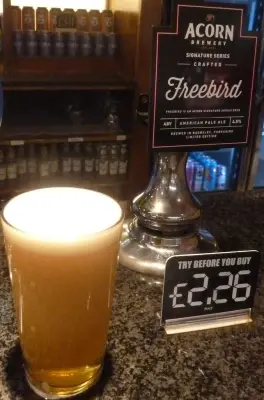 Deanso's photo of Freebird