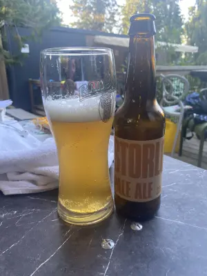 Borresteijn's photo of Storlok Pale Ale