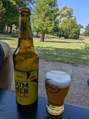MiP's photo of Summer Ale