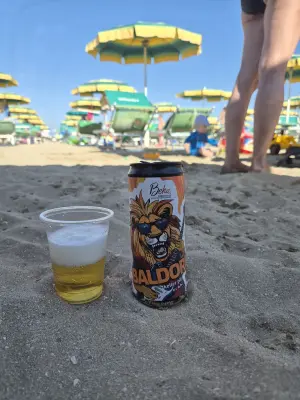 Goldbarren's photo of Baldoria