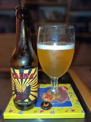 Pindolaire's photo of Asturies Pale Ale