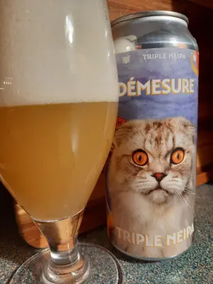 Metalchopz's photo of Démesure