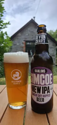 EvNa's photo of Simcoe New IPA