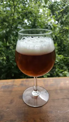 Clarkvv's photo of Yuzu Ginger Non Ale