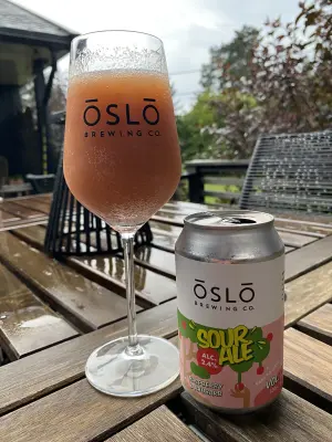 IpaPils's photo of Sour Ale