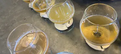 CLW's photo of Sandia Sour