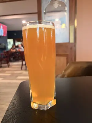 Kita's photo of Calypso IPA