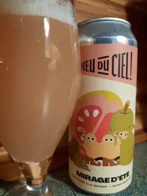 Metalchopz's photo of Mirage d'Été