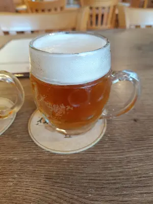 Marko's photo of Jedenáctka Světlý Ležák 11°