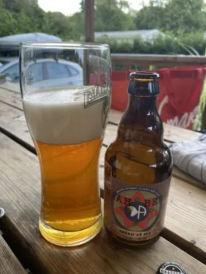 Borresteijn's photo of Utah Beer American IPA