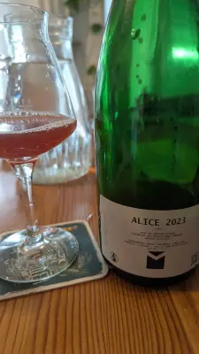 Werckmeister's photo of Alice (2023)