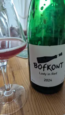 Werckmeister's photo of Lady in Red (2024)