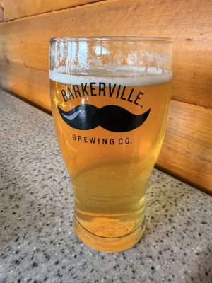 jamaty's photo of Prospector's Pilsner