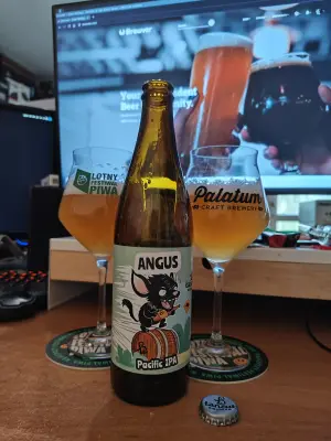 Faalagorn's photo of Angus