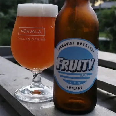 visionthing's photo of Fruity IPA