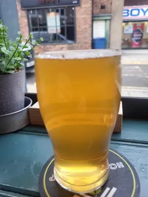 danlo's photo of Orange Zing