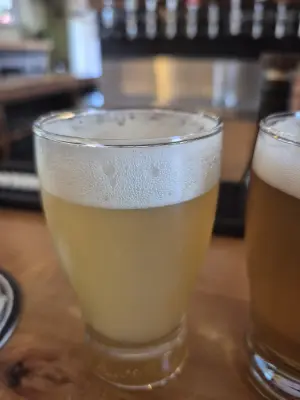 Lubiere's photo of Tête De Pioche #576 (Simcoe, Citra, Nectaron, Dolcita, Motueka)