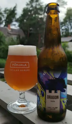 visionthing's photo of Dragon