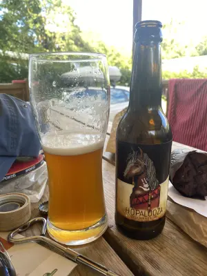 Borresteijn's photo of Hopalooza