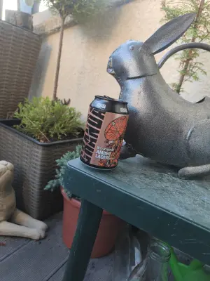 minutemat's photo of Amber Lager