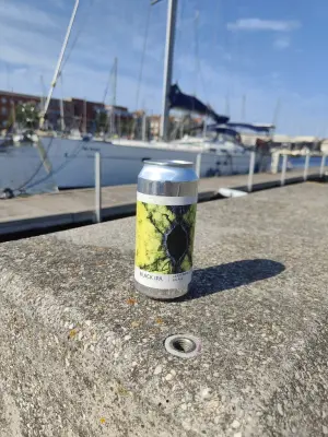 minutemat's photo of Black IPA DDH - Centennial / Citra
