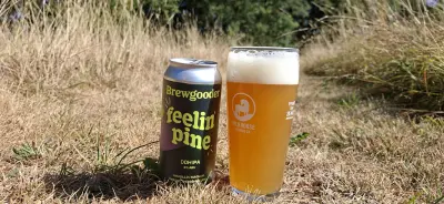 EvNa's photo of Feelin' Pine