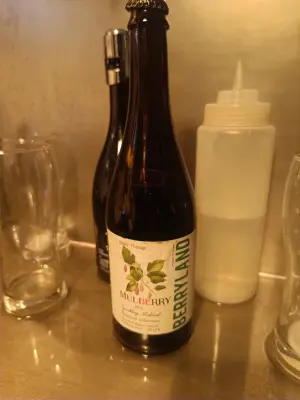 Marko's photo of Mulberry Sparkling Dry