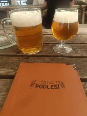 Marko's photo of Brdonoš 10°