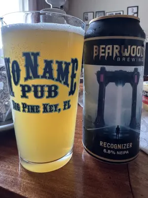 Chris_Ofstad's photo of Recognizer