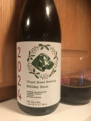CLW's photo of Holiday Stout (2024)