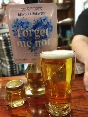 BlackHaddock's photo of Forget Me Not