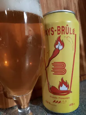 Metalchopz's photo of Pays-brûlé