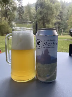 poisoneddwarf's photo of Montem