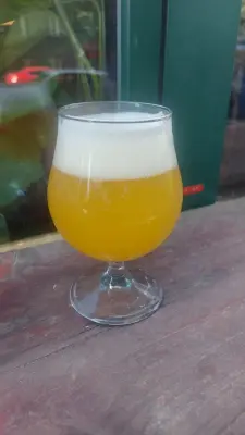 Gurthnar's photo of Tropical Sour 12°