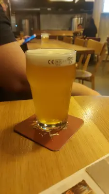 Gurthnar's photo of Ale 13°