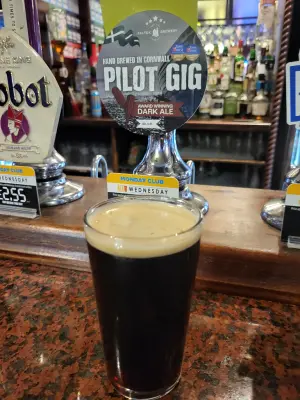 danlo's photo of Pilot Gig
