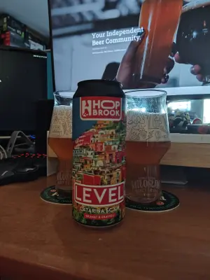 Faalagorn's photo of Level