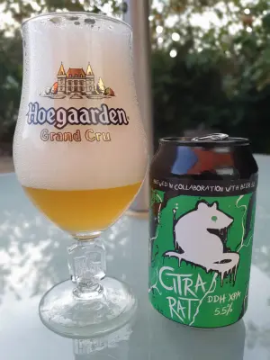 BlackHaddock's photo of Citra Rat