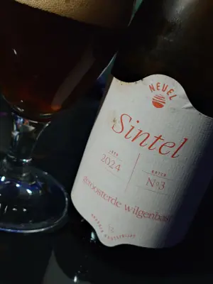 TomHendriksen's photo of Sintel (Batch #3 - Jaar 2024)