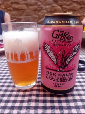 Sebletitje's photo of Pink Galah