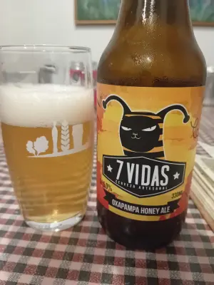 Sebletitje's photo of Oxapampa Honey Ale